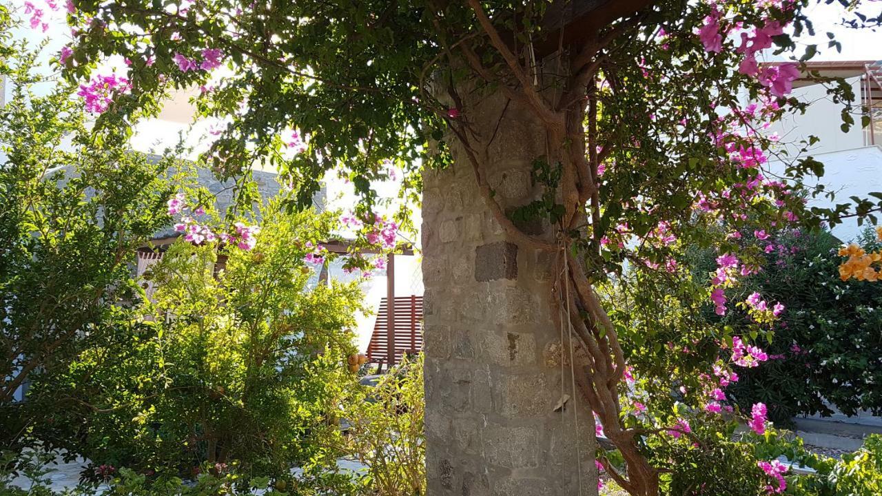 Villa Patmos Netia Skála Exterior foto